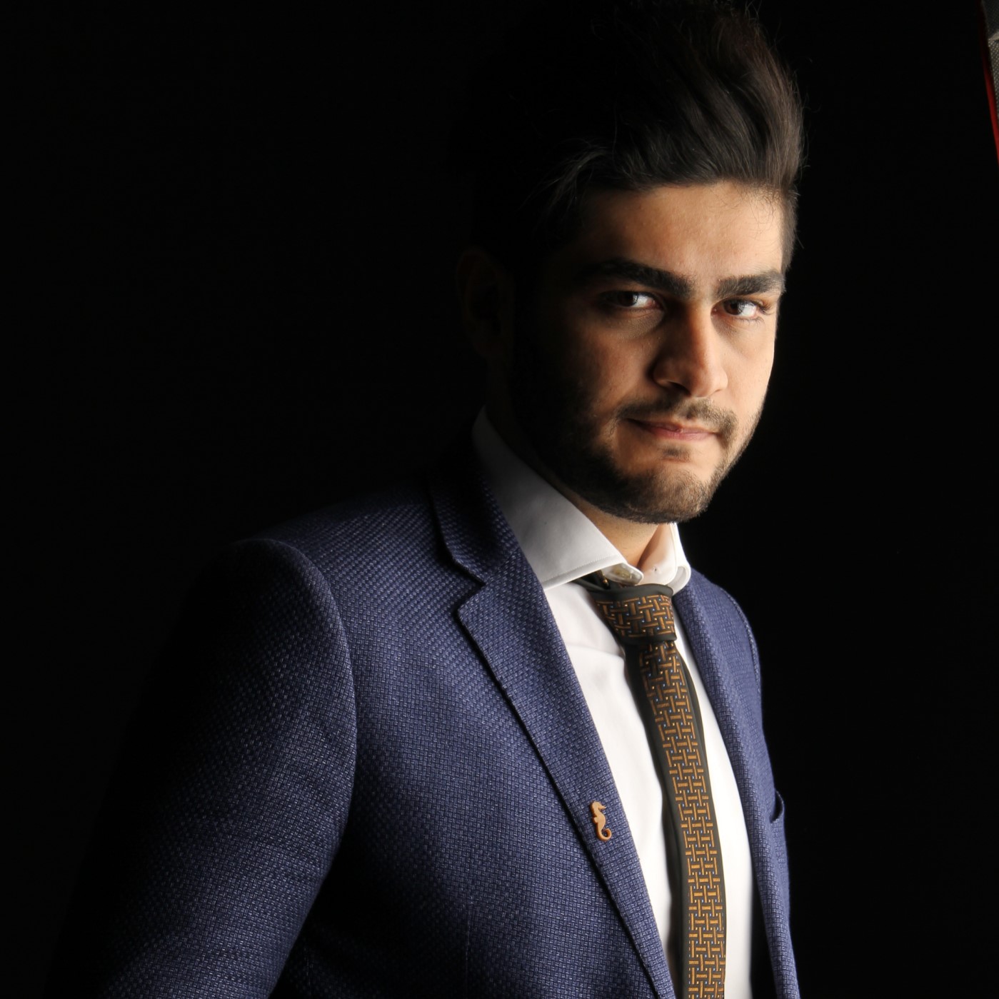 Hamidreza Ghasemi